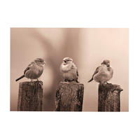 LEINWANDBILD Frühe Vögel - Sepia - 50x70cm - Braun, Textil (70/50cm) - Art for the Home