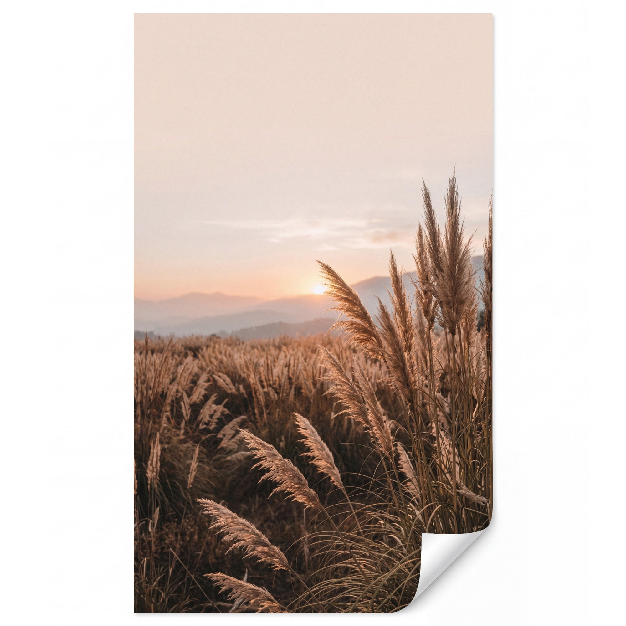 OnlyWow Tapete Sand 120x200 cm