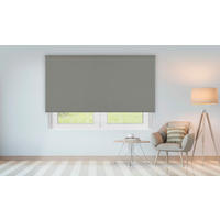 SEITENZUGROLLO lichtdurchlässig Chela - Grau, Textil (105/250/250cm) - VIEWTEX
