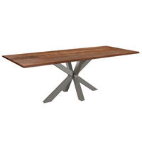 ESSTISCH SPYRO - Silberfarben/Braun, Holz/Metall (100/280/76cm) - SAM