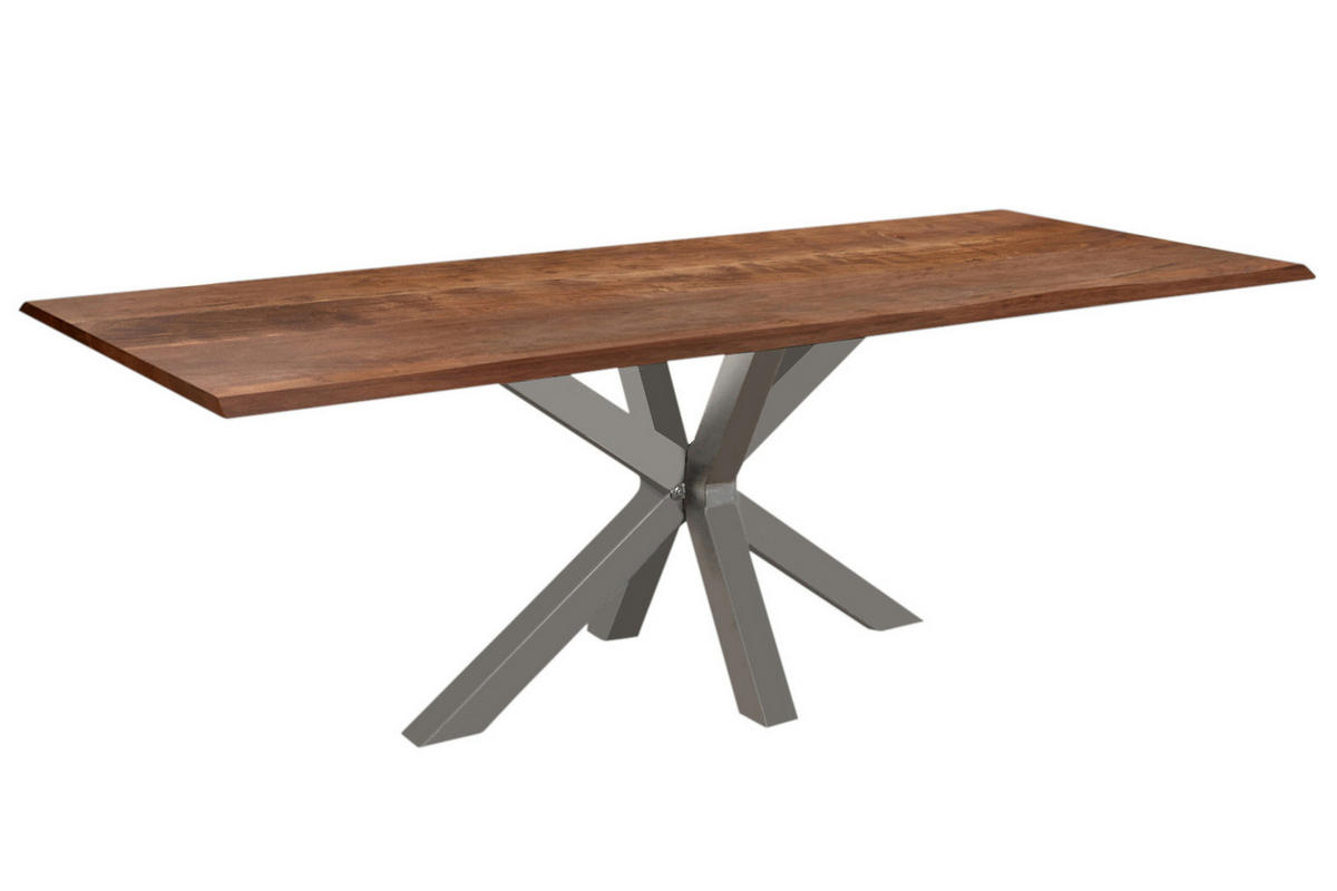 ESSTISCH SPYRO - Silberfarben/Braun, Holz/Metall (100/280/76cm) - SAM