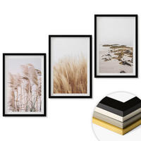 WANDBILDER 3er-Set - 40x60 cm Schwarzer Rahmen - Pampasgrasfelder und ein Boho-Strand - Schwarz, Kunststoff (40/60cm) - ArtPrintCave