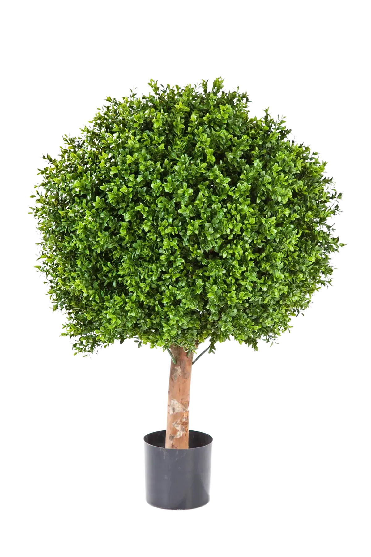 BUCHSBÄUME Künstlicher Buchsbaum - Rico 95 cm - Grün, Kunststoff (95cm) - aplanta
