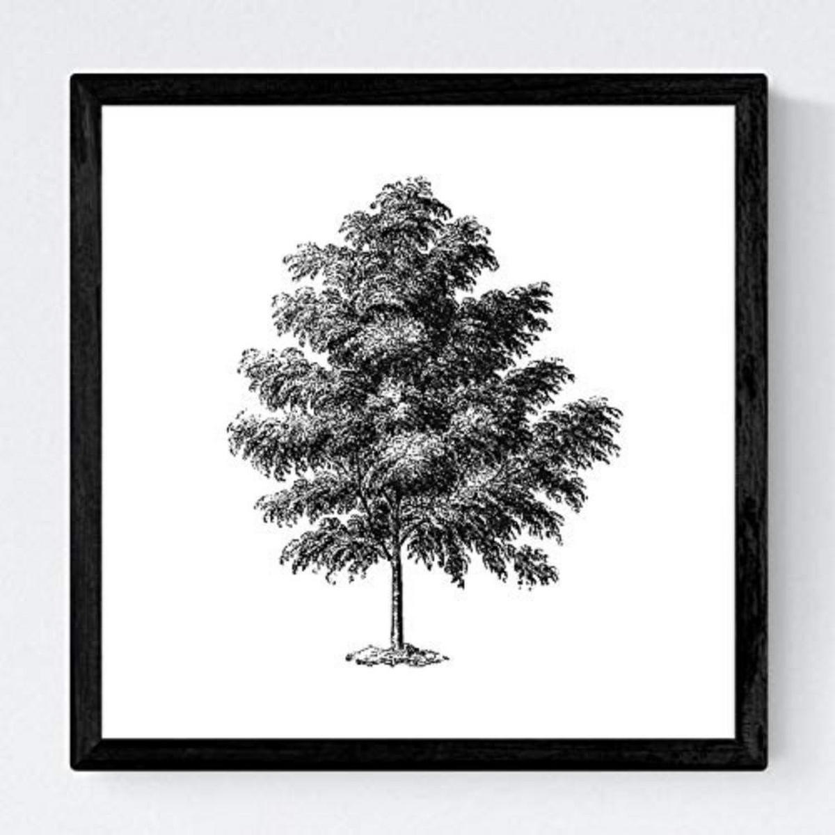 POSTER Set mit 4 Blättern der dünne Kruste weiß 20x20cm Rahmenlos - Klar, Papier (20/3cm) - Nacnic