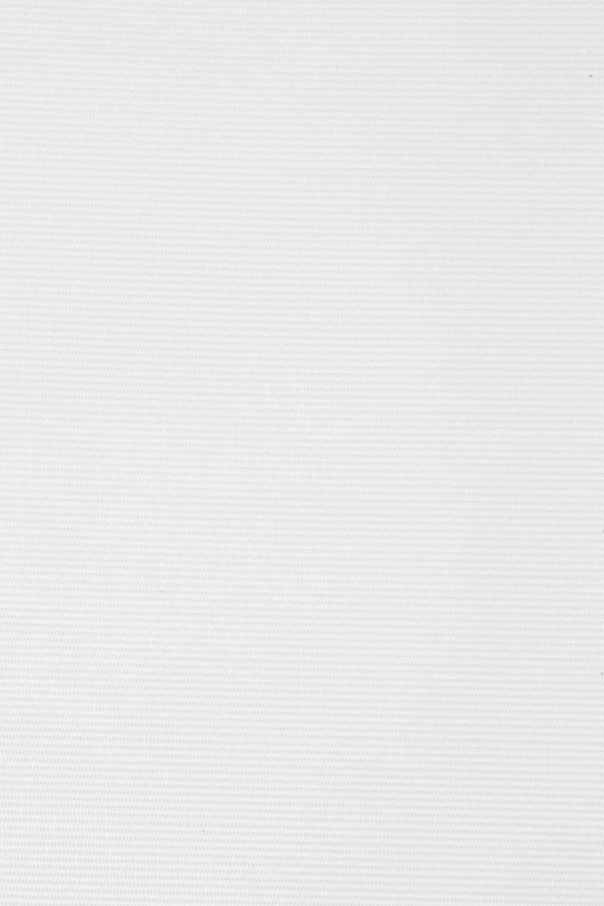 SEITENZUGROLLO lichtdurchlässig Ecofuture (100% Recyceltes Polyester) - Weiß, Textil (55/190/190cm) - VIEWTEX
