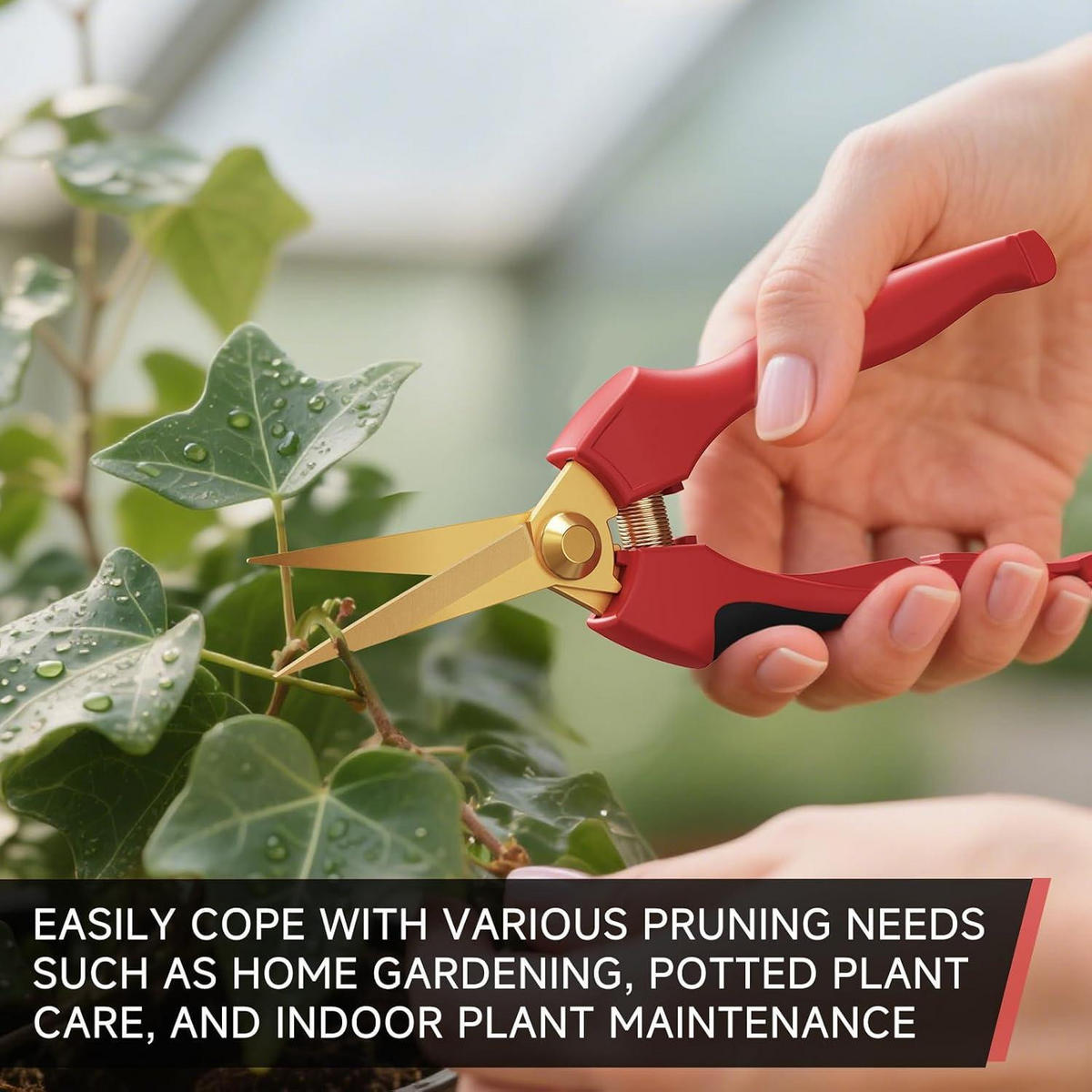 GARTENSCHERE 2-teiliges Set mit Titanbeschichtung - Rot, Metall (4/1.5/20.7cm)