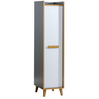 BÜCHERREGAL FIABA 47,3/195,2/55 cm Wohnzimmerregal Hochschrank Regal Anthrazit - Anthrazit, Holzwerkstoff (47.3/195.2/55cm) - MASSENO