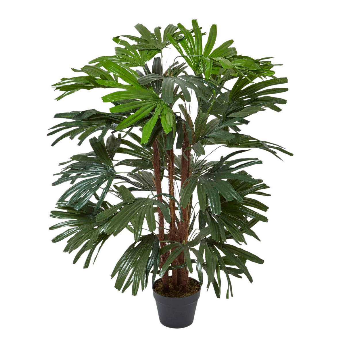 KUNSTPALME Rhapis, 120 cm - Grün, Kunststoff (120cm) - Homescapes