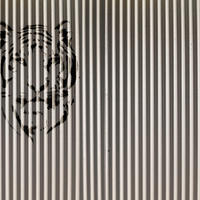 FOTOTAPETE Tigern 424 x 280 cm - Beige, Papier (424/280cm) - Sanders & Sanders