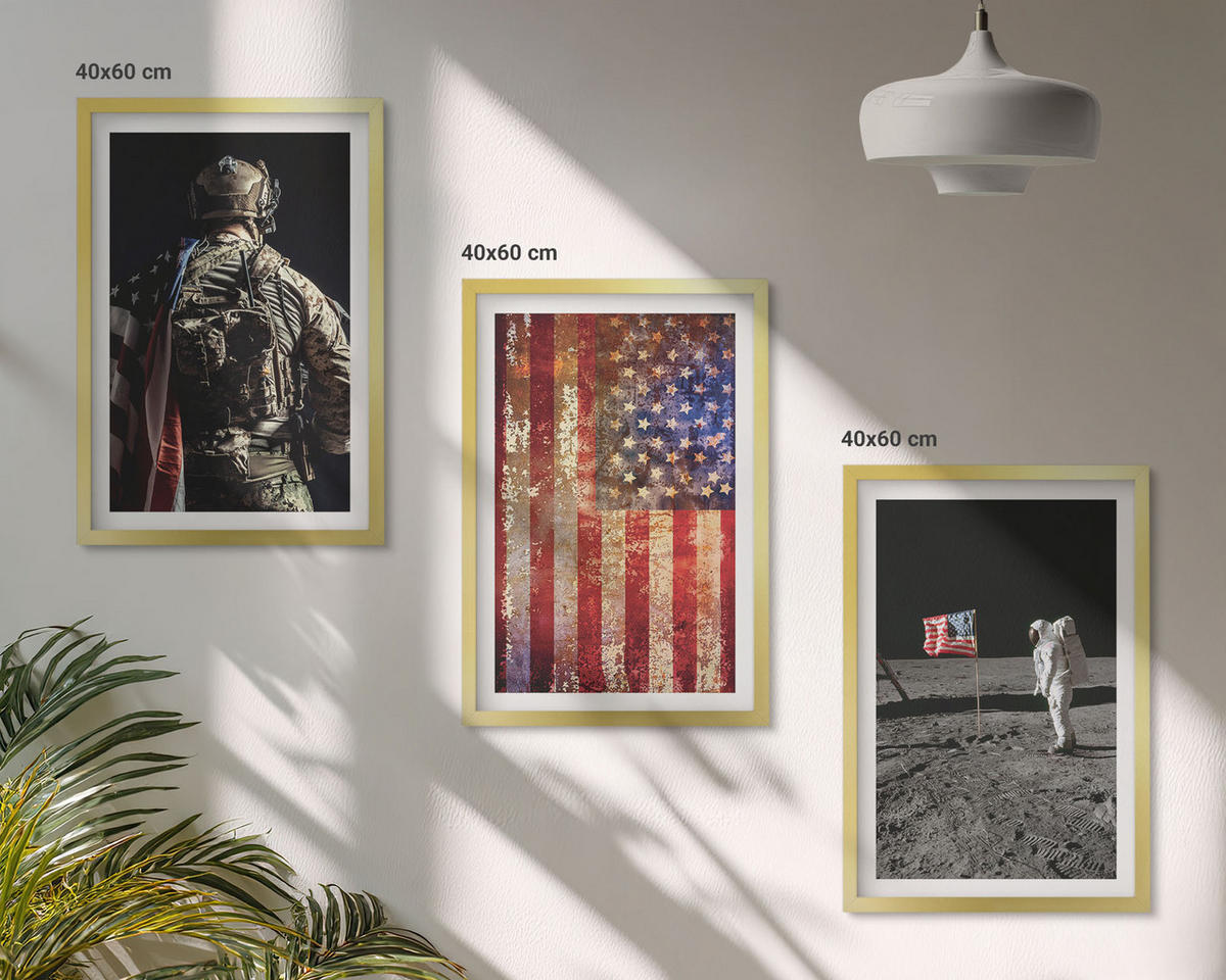 BILDER SET 3er Set - 40x60 cm Goldrahmen - Amerikanische Symbole, USA-Flagge - Goldfarben, Kunststoff (40/60cm) - TULUP