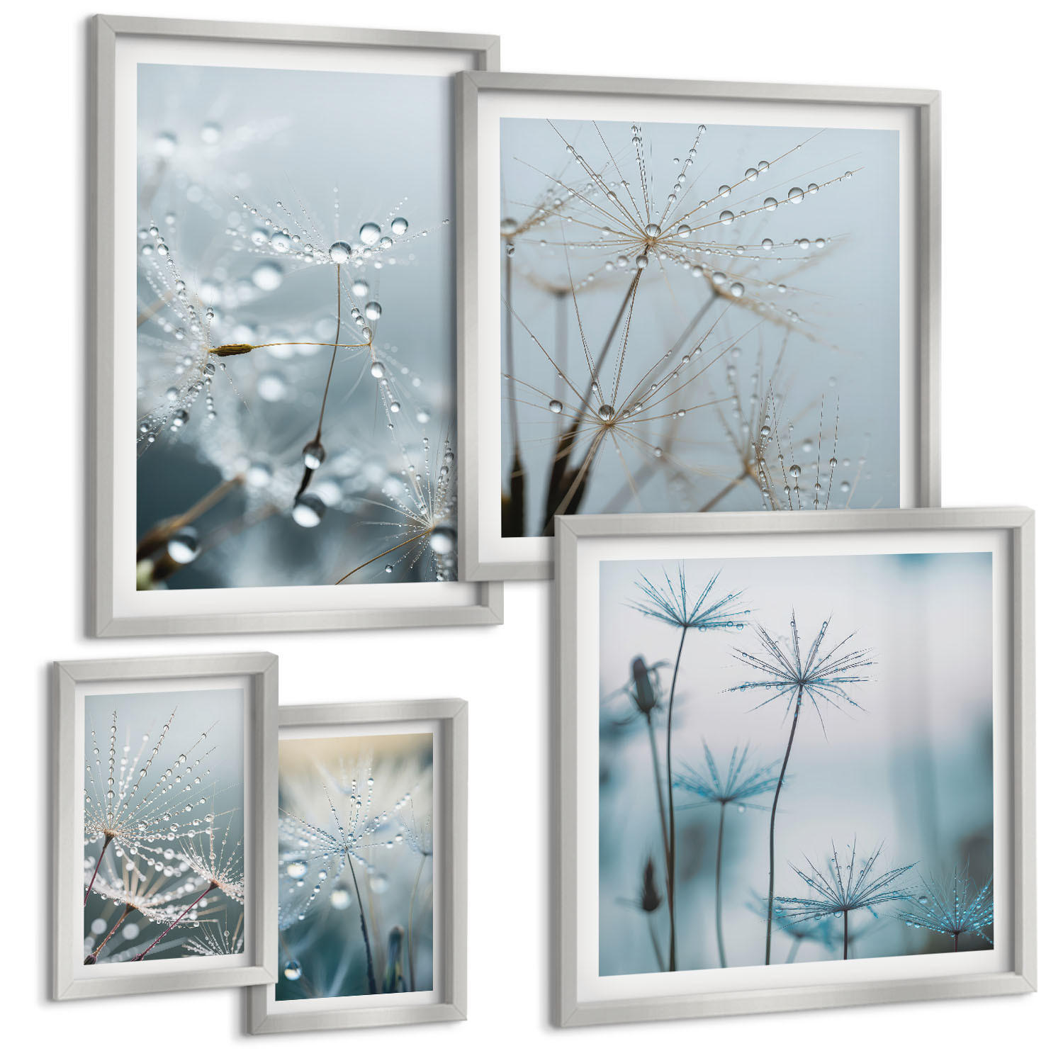 BILDER SET 5er Set - 50x50 cm & 20x30 cm & 40x60 cm Silberner Rahmen - Wassertropfen auf Löwenzahnsprossen - Silberfarben, Kunststoff (40/60cm) - TULUP