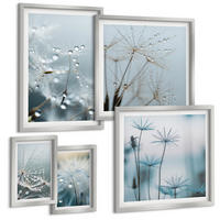 BILDER SET 5er Set - 50x50 cm & 20x30 cm & 40x60 cm Silberner Rahmen - Wassertropfen auf Löwenzahnsprossen - Silberfarben, Kunststoff (40/60cm) - TULUP