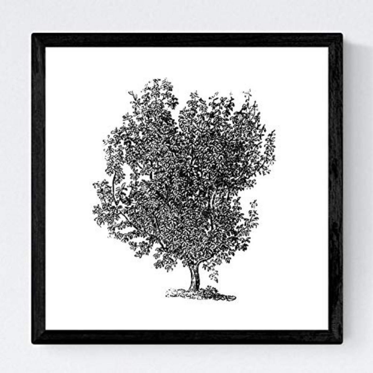 POSTER Set mit 4 Blättern der Baumstämme weißer Hintergrund 20x20cm Schwarzer Rahmen - Schwarz, Papier (20/3cm) - Nacnic