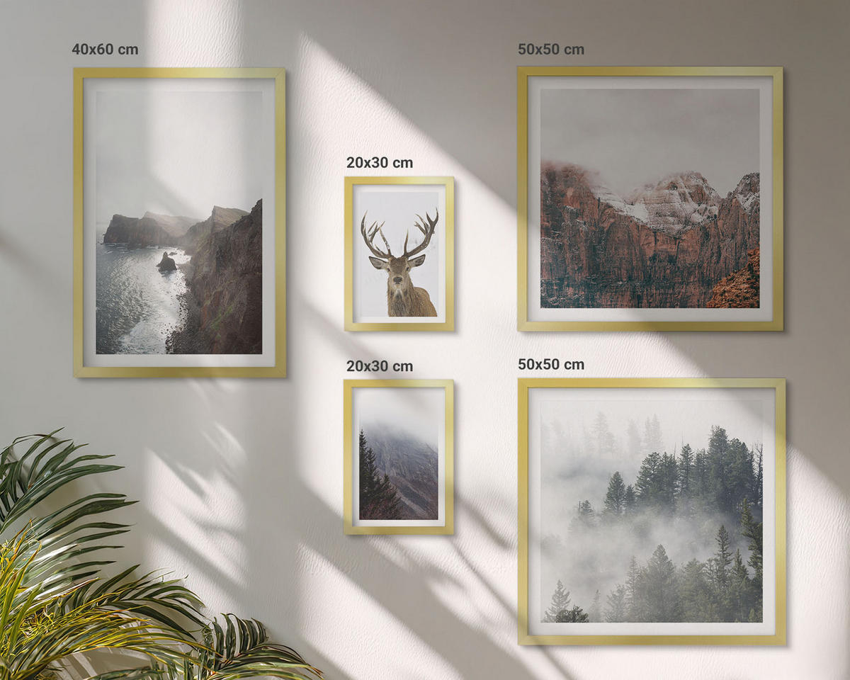 BILDER SET 5er Set - 50x50 cm & 20x30 cm & 40x60 cm Goldrahmen - Berglandschaft Nebel Hirsch - Goldfarben, Kunststoff (40/60cm) - TULUP
