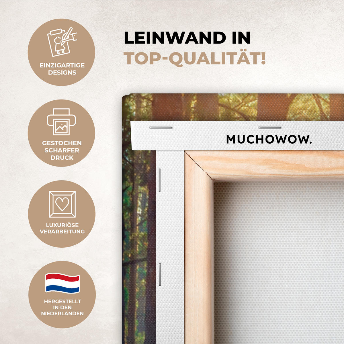 LEINWANDBILD Wald - Herbst - Bäume 80x120 cm - Dunkelgrün, Textil (80/120cm) - MuchoWow