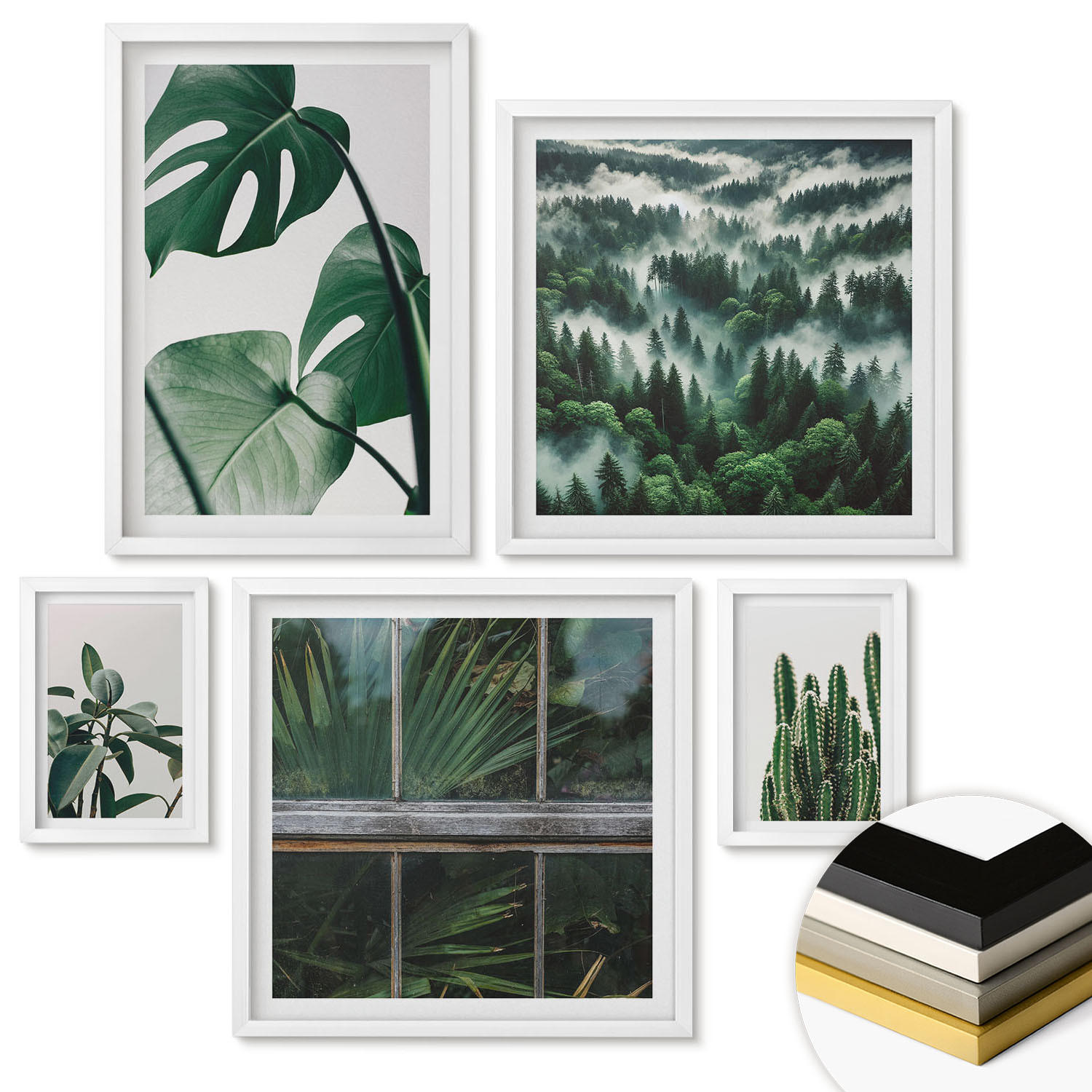WANDBILDER 5er-Set - 50x50 cm & 20x30 cm & 40x60 cm Weißer Rahmen - Ästhetik tropischer Pflanzen - Weiß, Kunststoff (40/60cm) - ArtPrintCave
