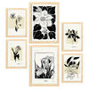 POSTER Set Mit 6 Schwarze Tinte Blumen Größe A3 & A4 Rahmen aus hellem Holz - Beige, Papier (29.7/1cm) - Nacnic