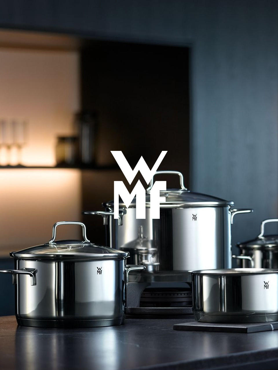 WMF Topfset