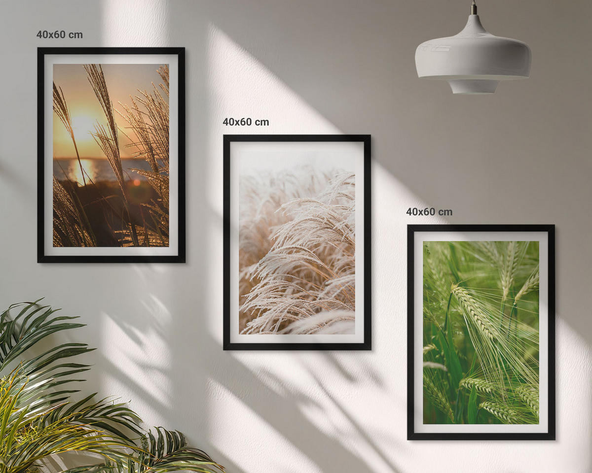BILDER SET 3er Set - 40x60 cm Schwarzer Rahmen - Gräser farbenfrohe Natur - Schwarz, Kunststoff (40/60cm) - TULUP