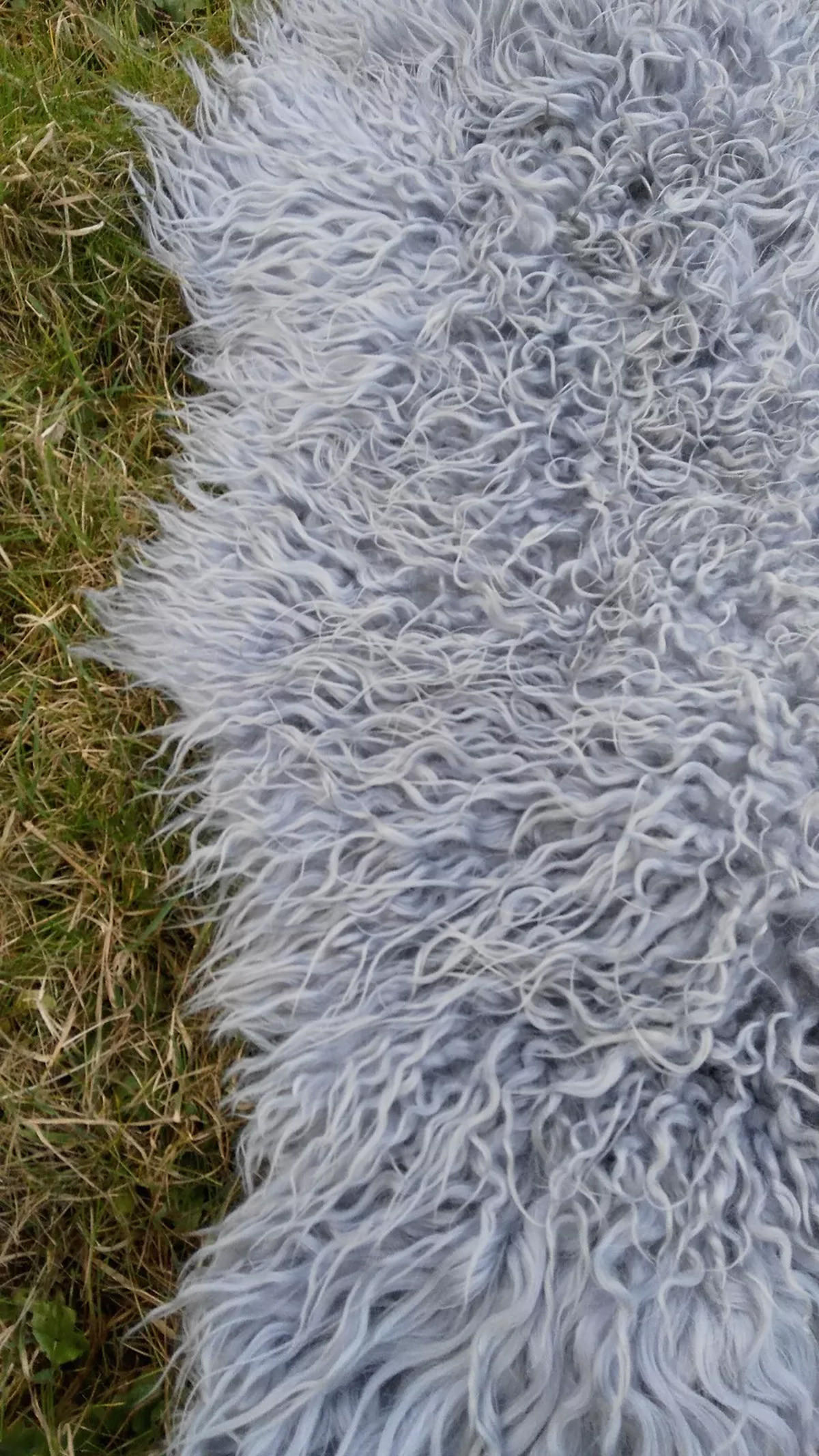 SCHAFFELL Island Lammfell lockig ca. 110 cm Naturfarben - Grau, Fell (60/110cm)