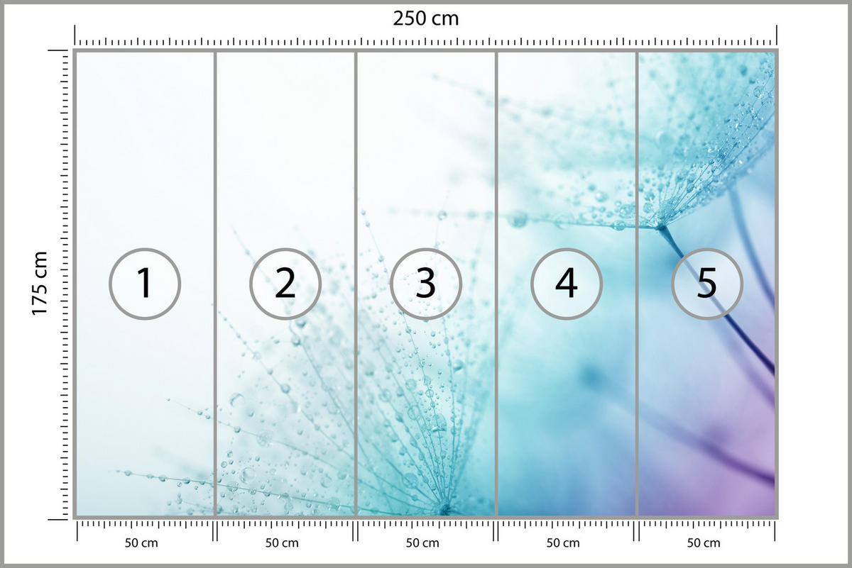 FOTOTAPETE für Badezimmer Leuchtende Löwenzahnblüten Wassertropfen Blau 250x175 - Türkis/Blau, Papier (250/175cm) - Muralo
