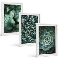 BILDER SET 3er Set - 40x60 cm Weißer Rahmen - Sukkulenten im Stil grüner Blätter - Weiß, Kunststoff (40/60cm) - TULUP