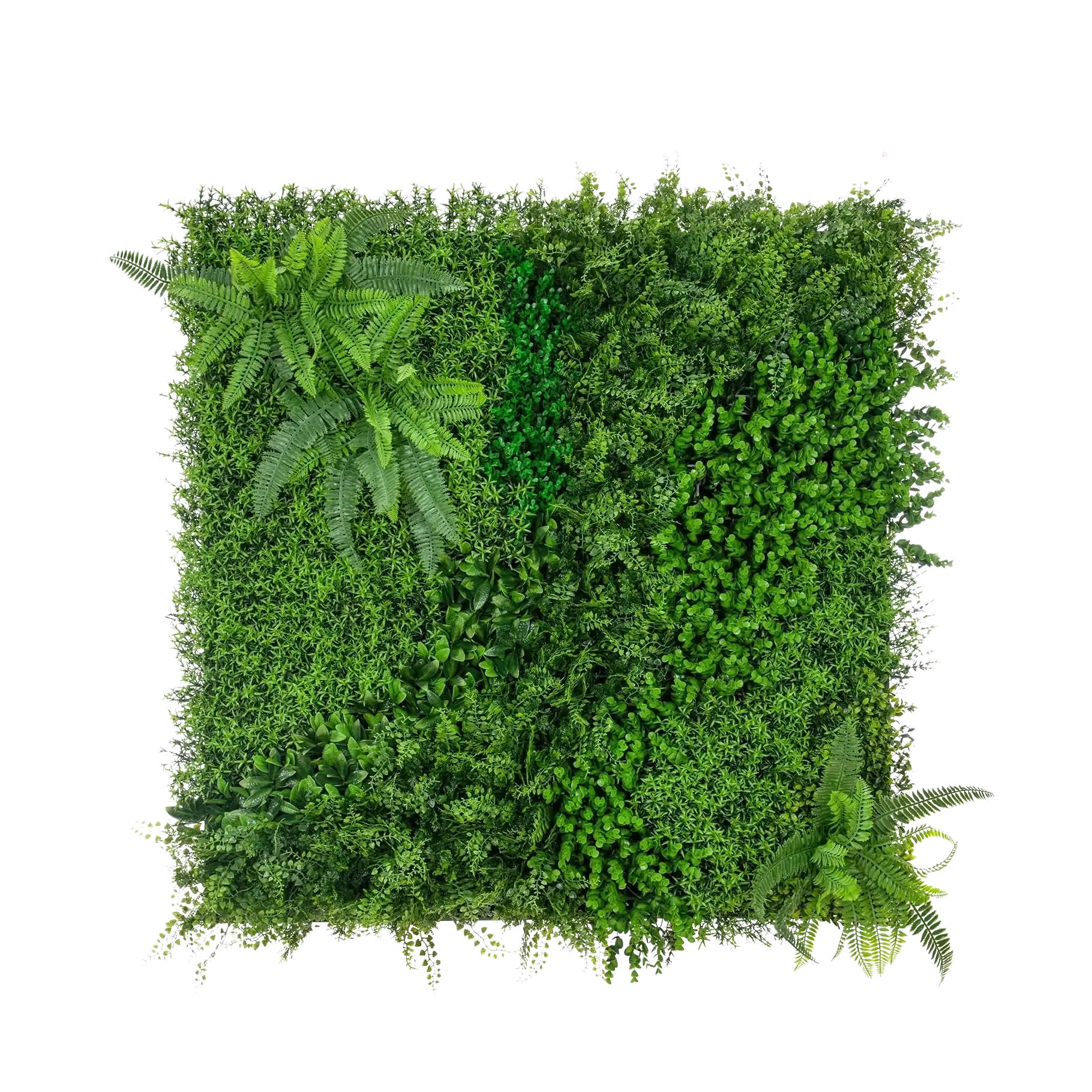 KUNSTPFLANZE Künstliche Moosmatte - Roland 100 cm - Grün, Kunststoff (100cm) - aplanta