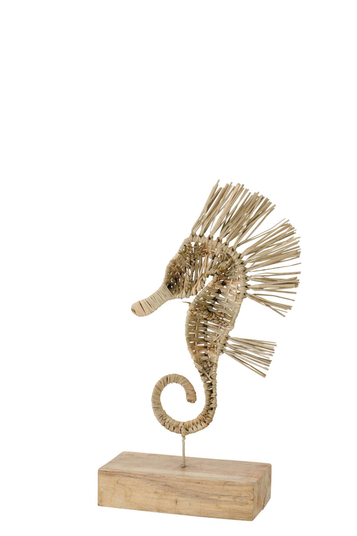 OBJEKT SEEPFERDCHEN - Naturfarben, Naturmaterialien (12/53/25cm) - J-Line