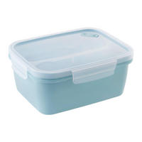 LUNCHBOX Rizzi Transparent/Pastellblau - Pastellblau, Kunststoff (16.5/8.8/21cm) - Mömax