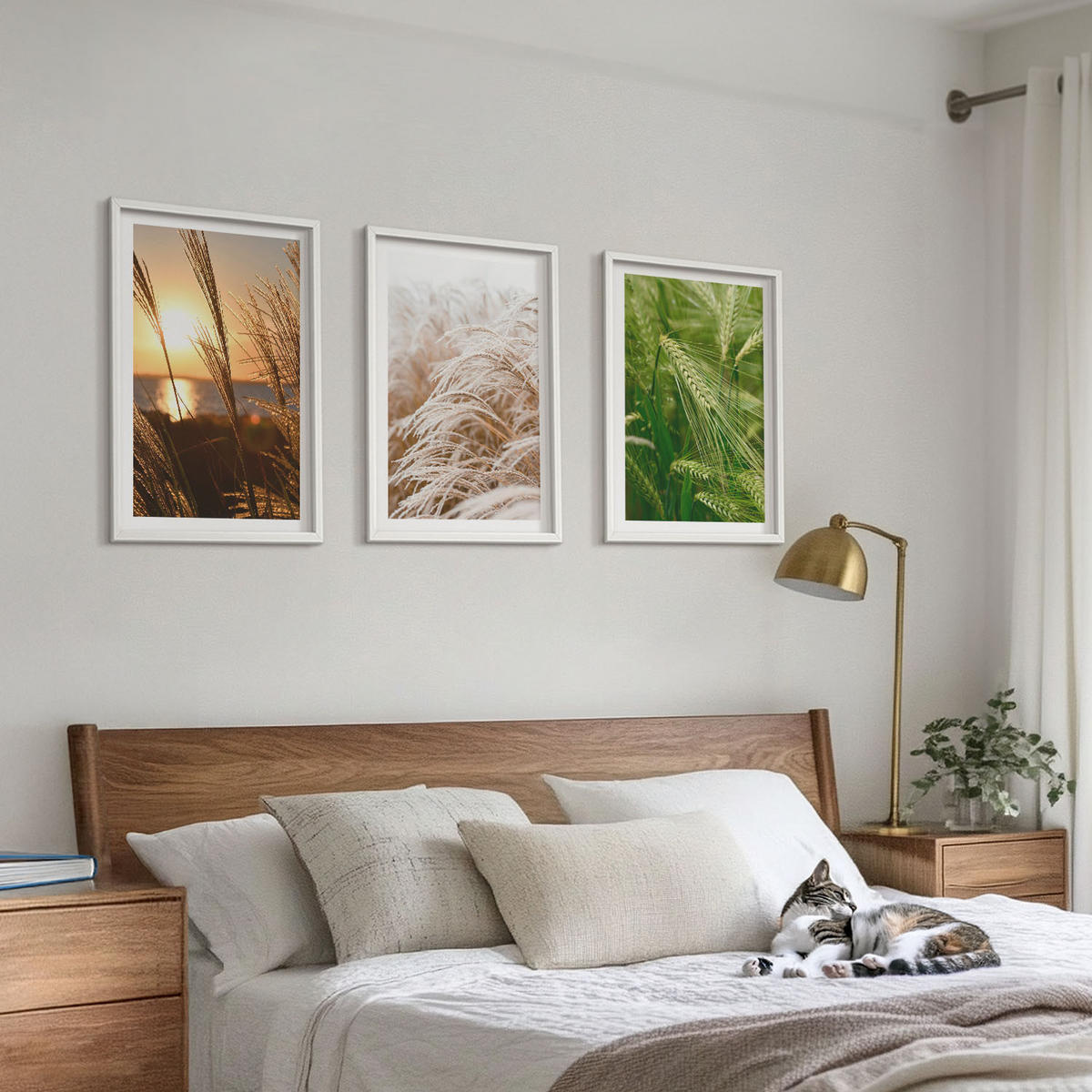 WANDBILDER 3er-Set - 40x60 cm Weißer Rahmen - Gräser farbenfrohe Natur - Weiß, Kunststoff (40/60cm) - ArtPrintCave