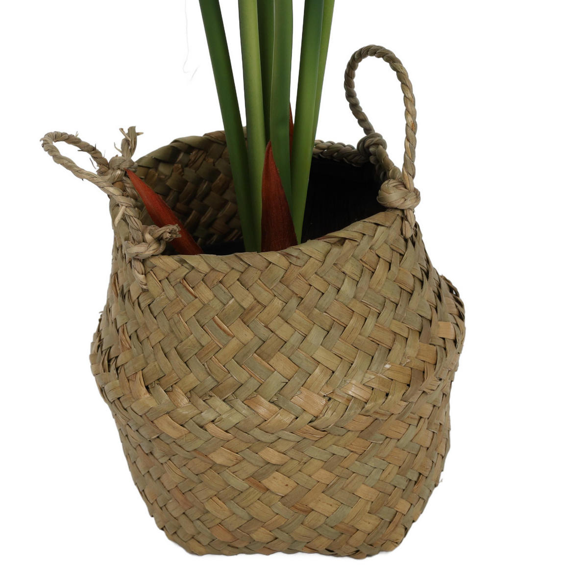 ALOKASIEN Kunstblume im Korb 30/30/51 cm - Grün, Kunststoff (51cm) - Home Styling Collection