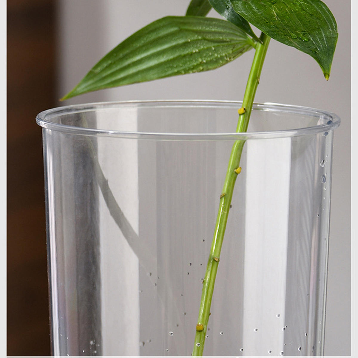 VASE 12*12*25CM - Transparent, Keramik (20cm) - LIBRATON