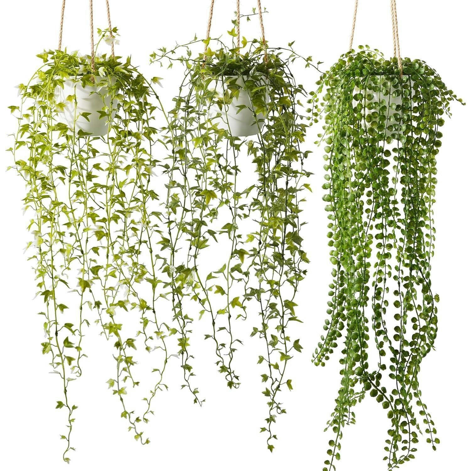 HÄNGEPFLANZE 3 Stück Set 94 cm - Grün, Kunststoff (14cm)