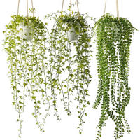 HÄNGEPFLANZE 3 Stück Set 94 cm - Grün, Kunststoff (14cm)