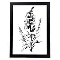 POSTER Löwenmaul 3 Im Nordischen Stil. A4 Rahmenlos - Klar, Papier (29.7/5/21cm) - Nacnic