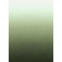 FOTOTAPETE Dip-Dye Muster 200 x 279 cm - Grün, Papier (200/279cm) - ESTAhome