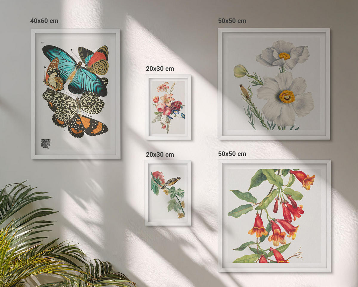 BILDER SET 5er Set - 50x50 cm & 20x30 cm & 40x60 cm Weißer Rahmen - Blumen, Schmetterlinge, Vögel, Pastellfarben - Weiß, Kunststoff (40/60cm) - TULUP