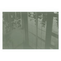 GLASPLATTE für Kamin 60x40 cm - Grün, Glas (60/40/0.4cm) - TULUP