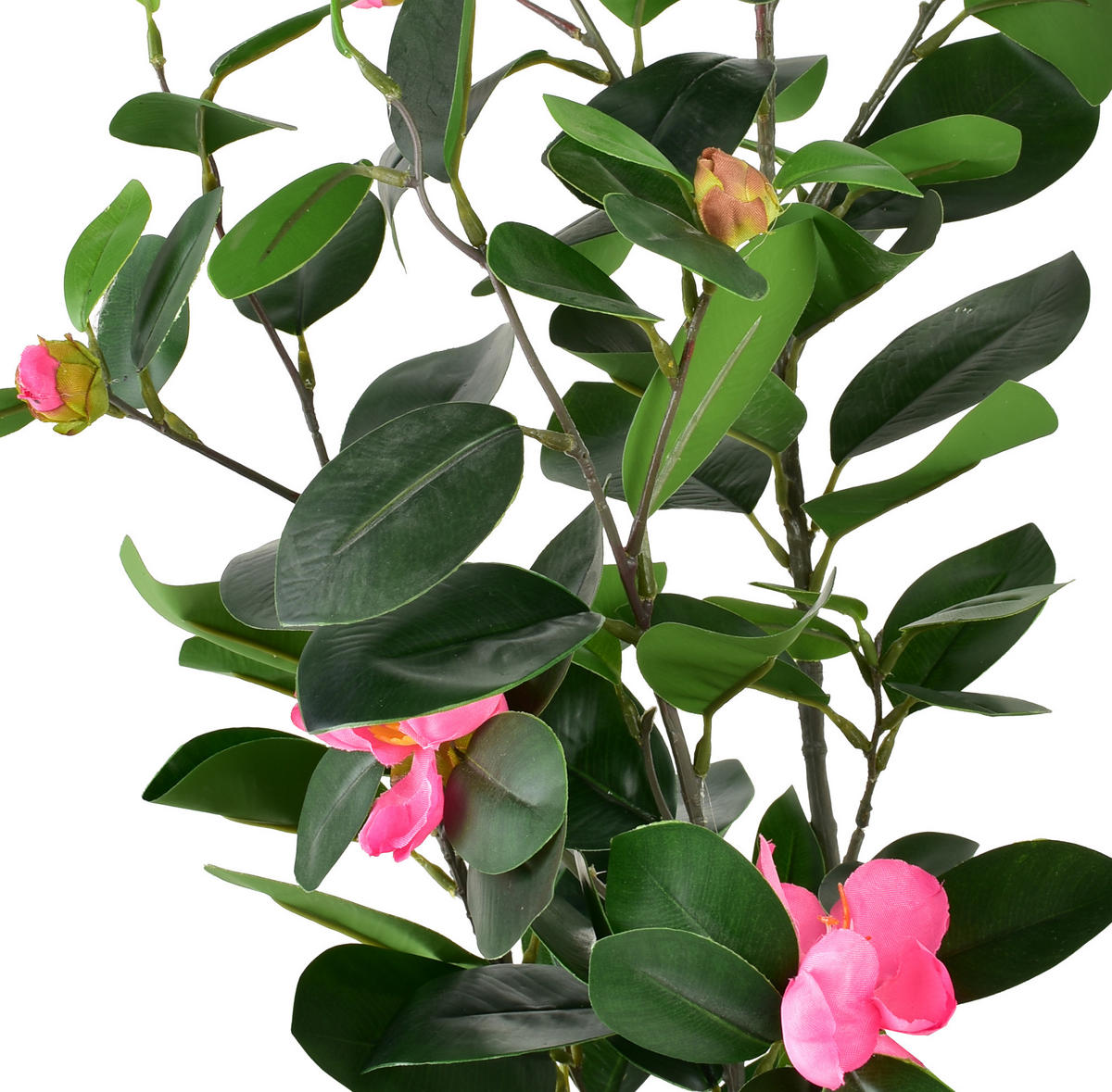 KUNSTBLUME Viridis grün 13/11/71 cm Kunststoff - Grün, Kunststoff (71cm) - Mondex