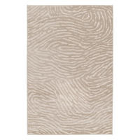 TEPPICH ultrafein mit Skulptureffekt beige - Beige, Textil (120/170cm) - AFK Living
