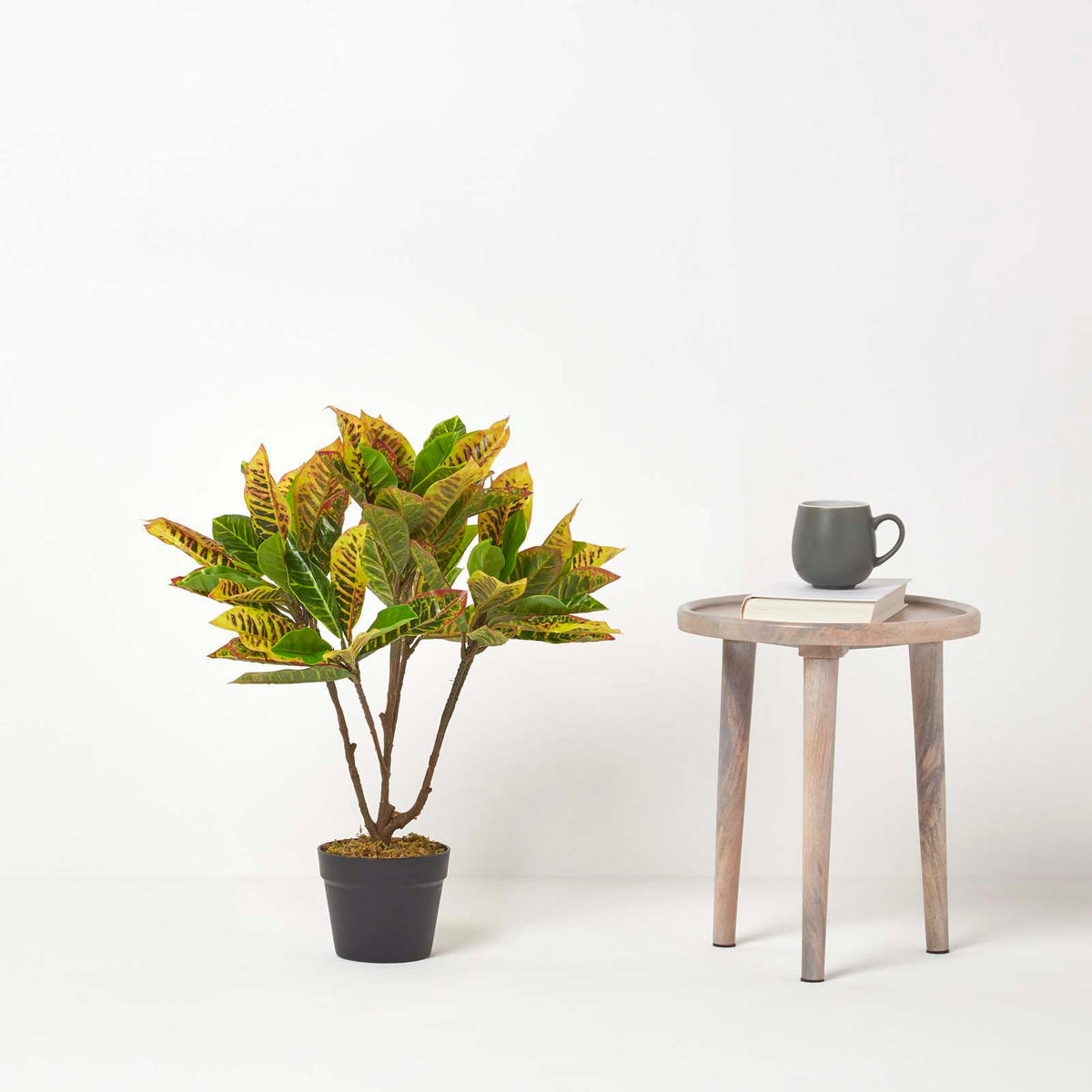 KUNSTPFLANZE Wunderstrauch grün, 65 cm - Grün, Kunststoff (65cm) - Homescapes