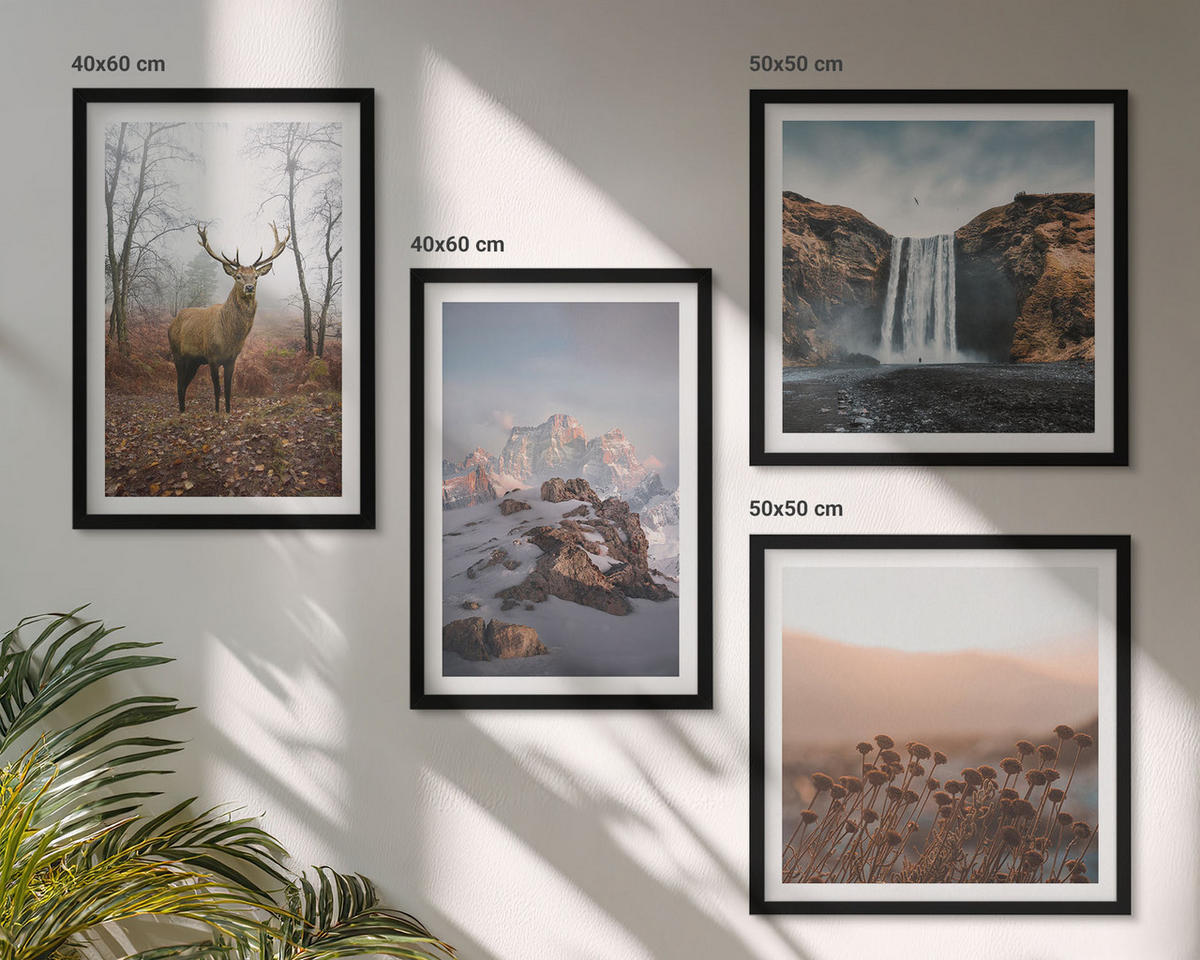 BILDER SET 4er Set - 50x50 cm & 40x60 cm Schwarzer Rahmen - Wilde Landschaften, Berge, Hirsche - Schwarz, Kunststoff (50/50cm) - TULUP