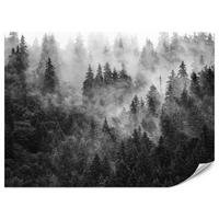 FOTOTAPETE für Wohnzimmer Dichter Nebel Forst Bäume 500x350 - Schwarz/Weiß, Papier (500/350cm) - Muralo