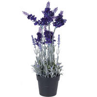 KÜNSTLICHER LAVENDEL 40 CM - Lila, Kunststoff (40cm) - Home Styling Collection