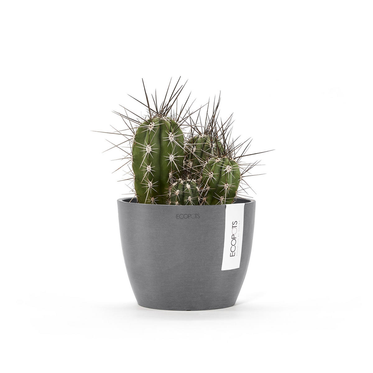 BLUMENTOPF Stockholm Mini 16,2/12 cm Grau - Grau, Kunststoff (16.2/12cm) - Ecopots