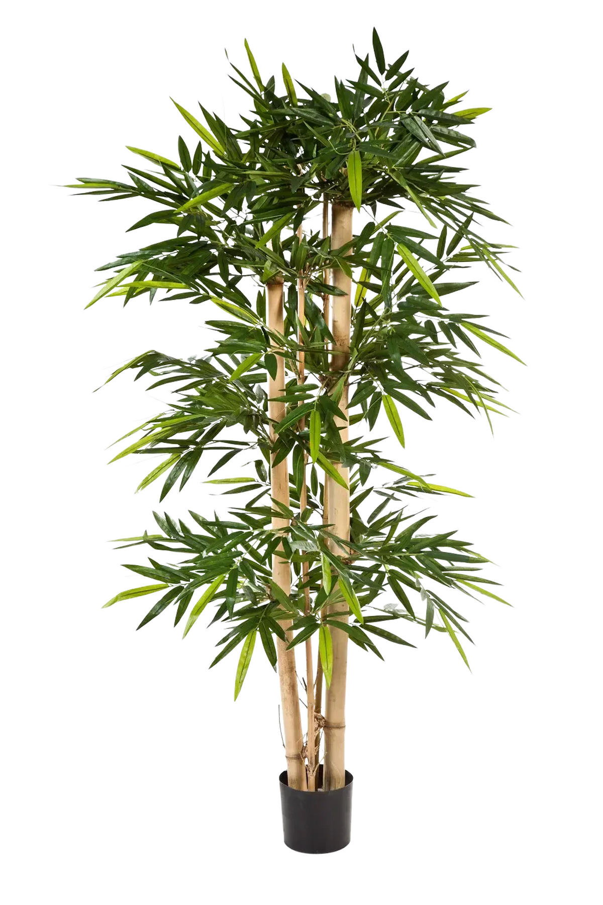 BAMBUSE Künstlicher Bambus - Martha 240 cm - Grün, Kunststoff (240cm) - aplanta