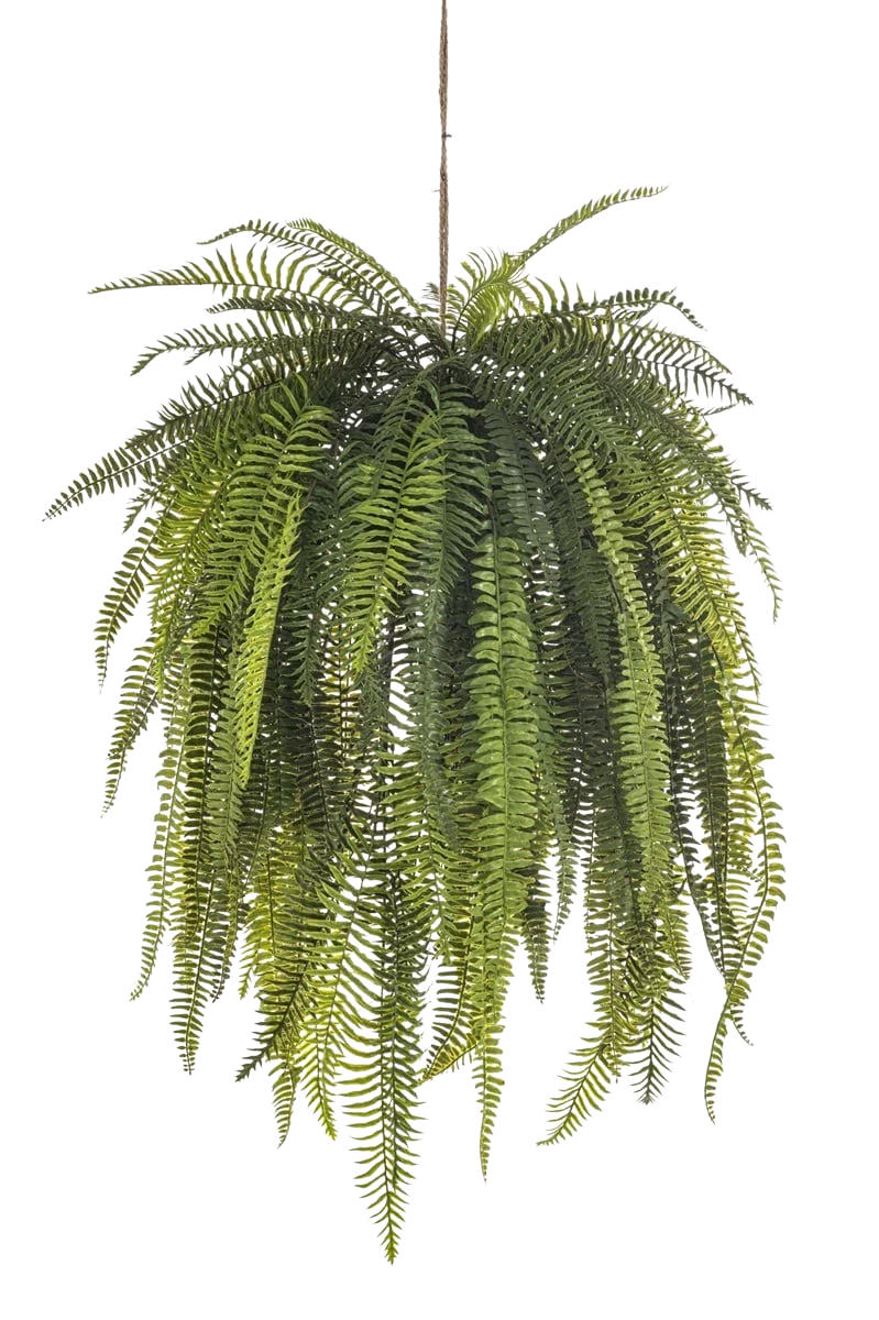 KUNSTBAUM Künstlicher Hänge-Farn - Mila 140 cm - Grün, Kunststoff (140cm) - Emerald