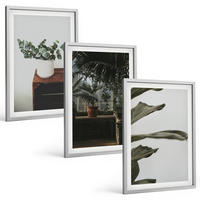 BILDER SET 3er Set - 40x60 cm Silberner Rahmen - Rustikale Topfpflanzen - Silberfarben, Kunststoff (40/60cm) - TULUP