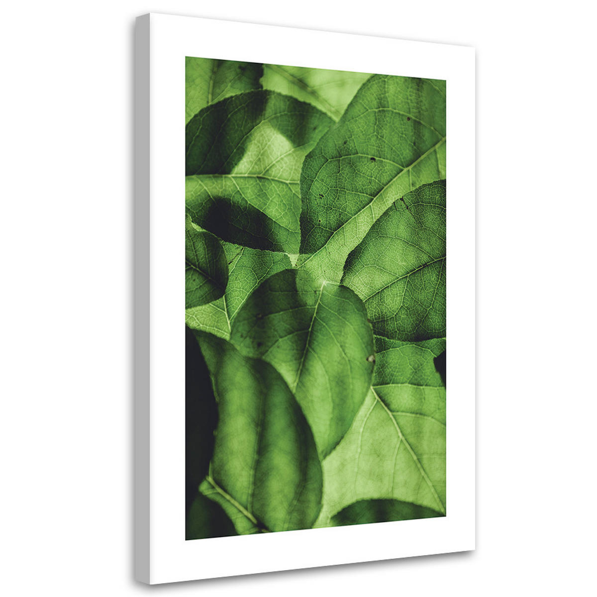 WANDBILD grüne blätter im makromaßstab - Grün, Textil (40/60cm) - Feeby