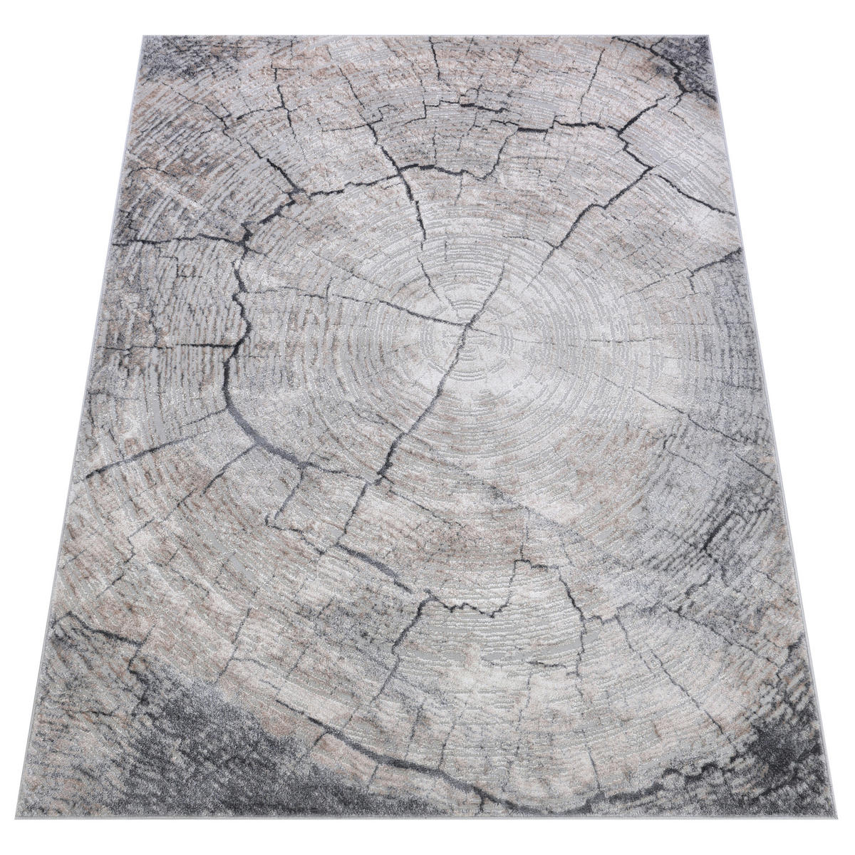 TEPPICH COMO Dunkelbeige 200/300 cm - Dunkelbraun, Kunststoff (200/300cm) - Tapiso